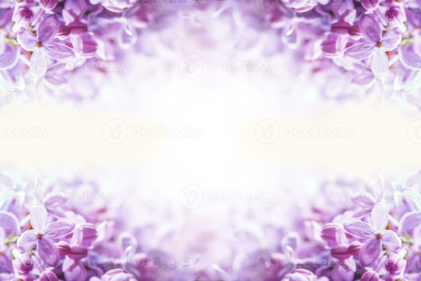 Romantic floral background with purple or violet lilac flowers photo