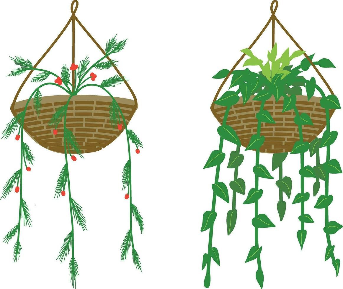 colgando en plantas de interior aislado en blanco antecedentes. vector ilustración.