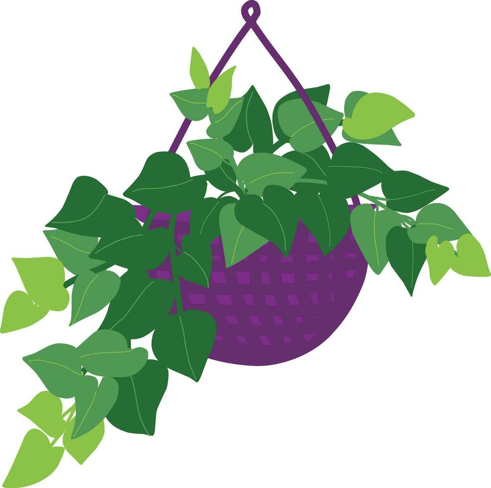 planta de casa con colgando cesta aislado icono vector ilustración diseño