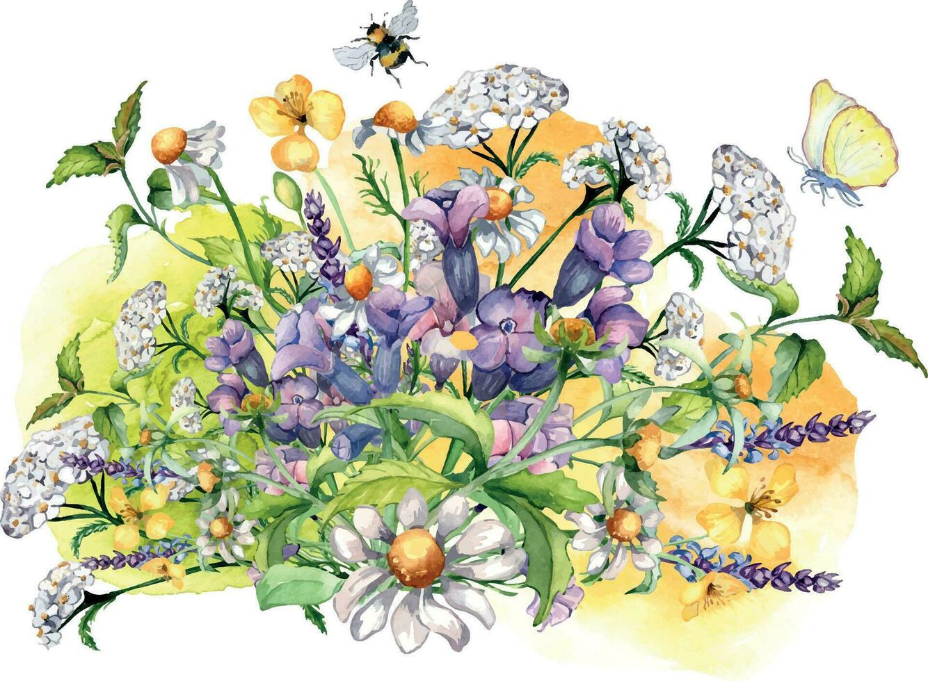 ramo de flores de manzanilla, ortiga, medicinal plantas, acuarela chapoteo ilustración aislado en blanco. púrpura, amarillo flor, abeja, mariposa mano dibujado. diseño para etiqueta, paquete, tarjeta postal, tarjeta vector