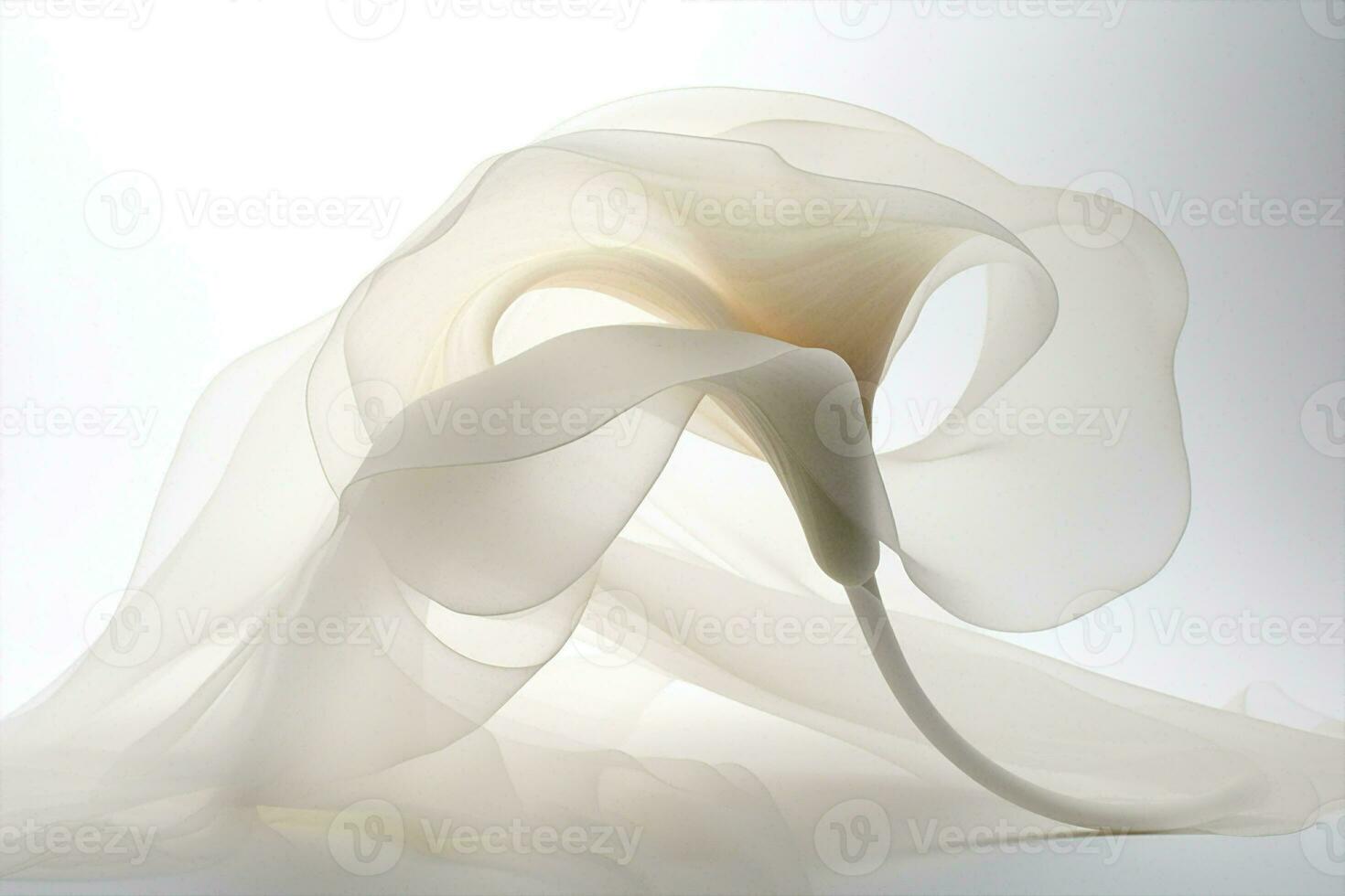 Background beauty blossom plant flower calla lily flora wedding nature white freshness photo