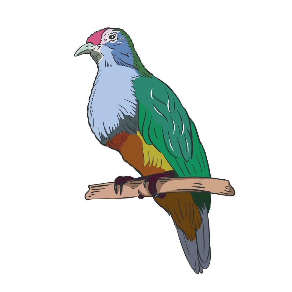 tropical linda pájaro en color mano dibujado bosquejo vector