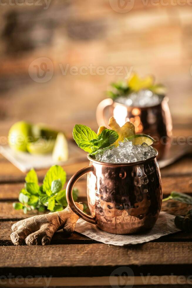 Moscow Mule highball cocktail and a long vodka drink with fresh lime, ginger beer, and mint photo