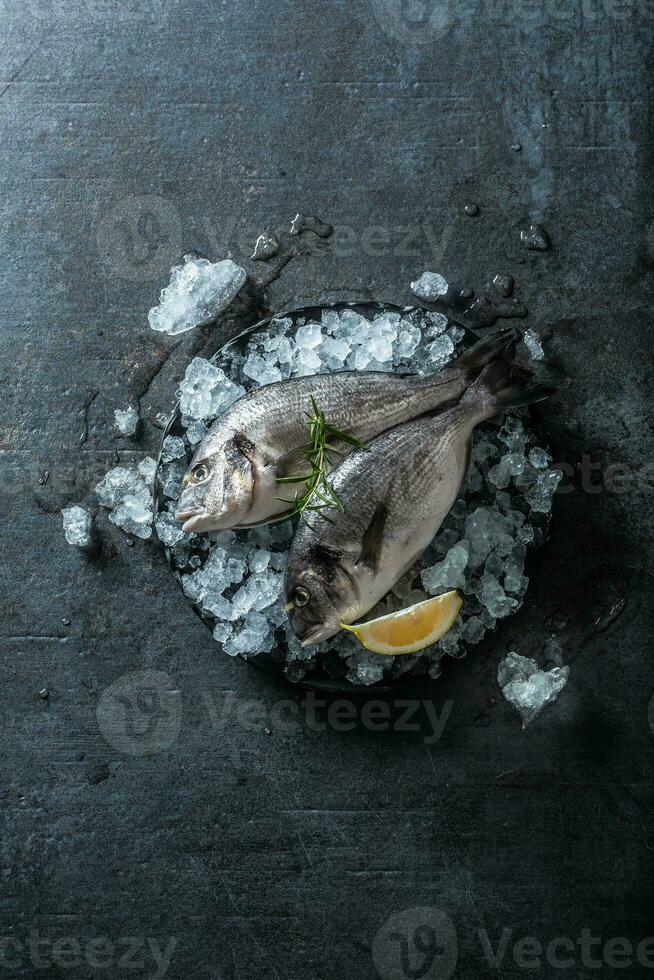 Raw mediterranean fish bream in ice with rosemary and lemon photo