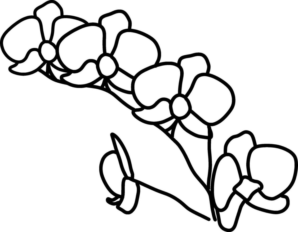 sketch of orchid flower vector