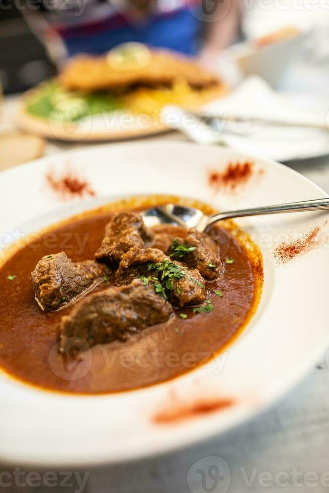 Beef or veal goulash served in a plate with juice stew, served in a plate photo