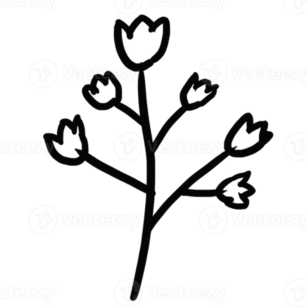decoration decorative design different drawn eco elegance art png