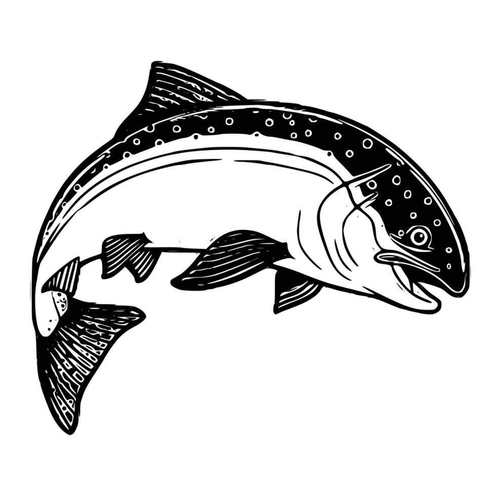 Black and white of largemouth bass fish vector