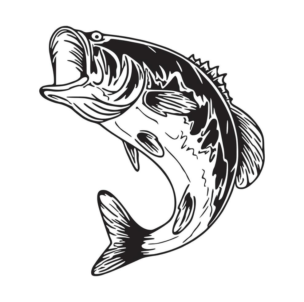 Black and white of largemouth bass fish vector