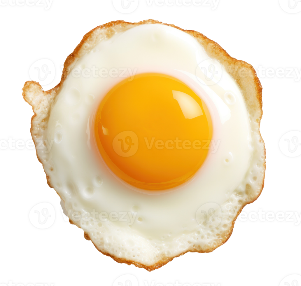 Fried Eggs PNG Transparent Images Free Download, Vector Files