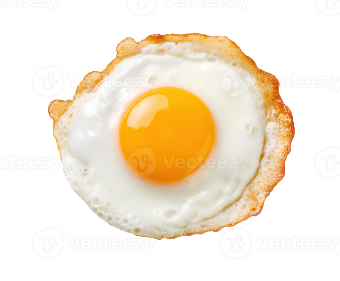 Fried Egg PNG Images & PSDs for Download