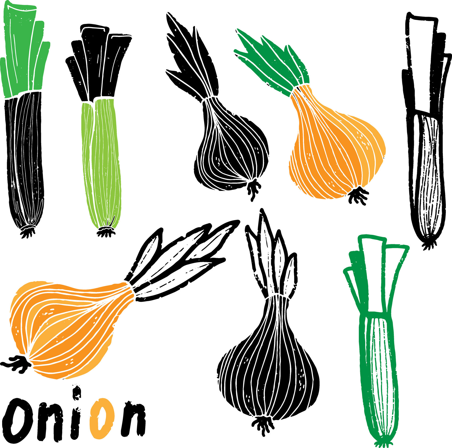 Onion and shallot. Graphic texture elements. Vector set, collection