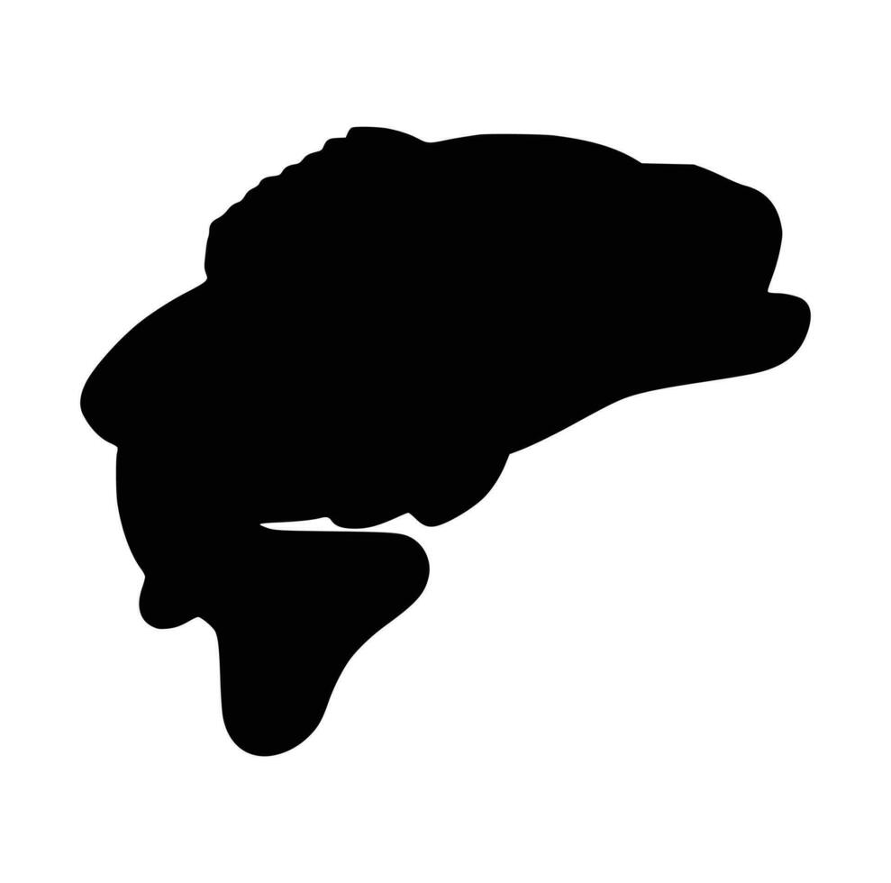 Black and white of largemouth bass fish vector