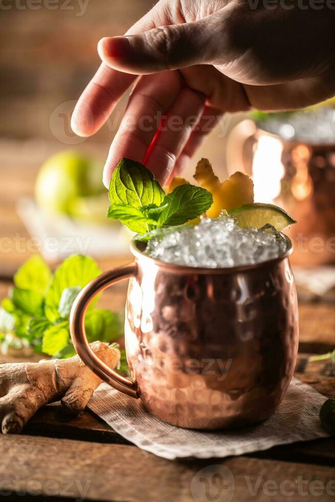 Moscow Mule highball cocktail and a long vodka drink with fresh lime, ginger beer, and mint photo