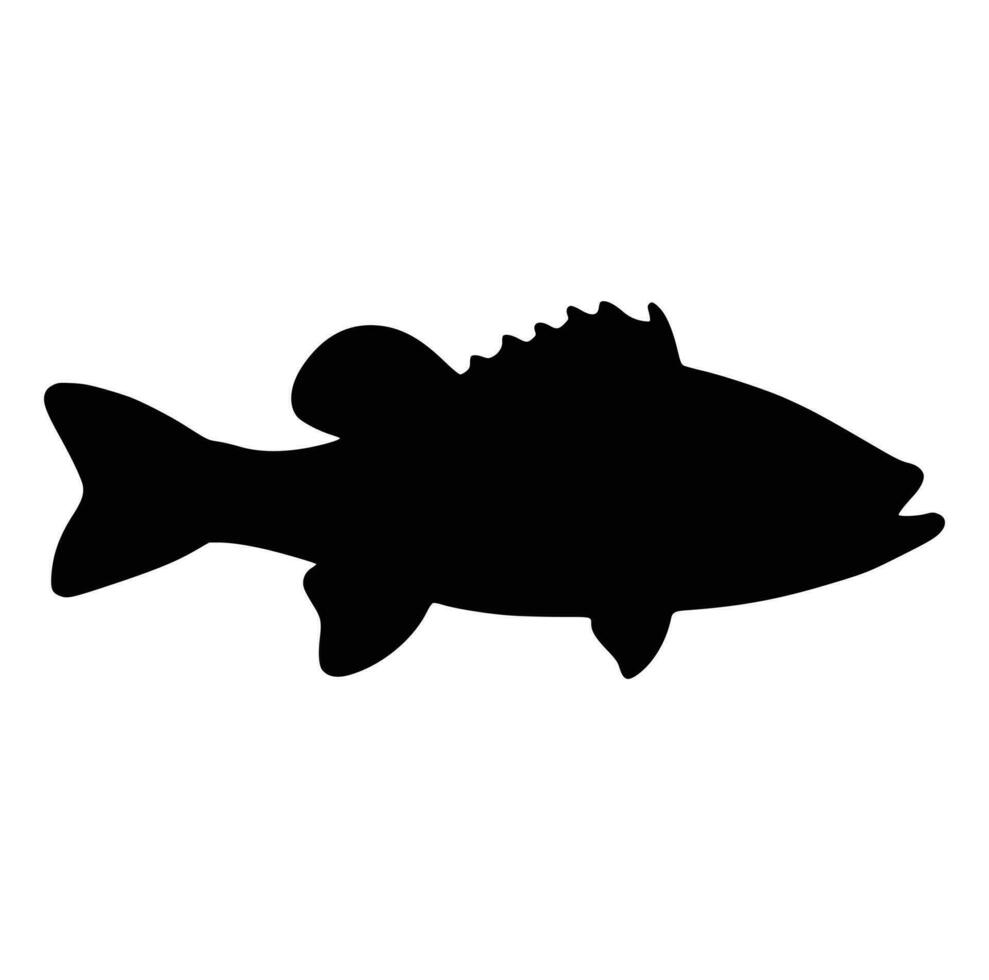 Black and white of largemouth bass fish vector