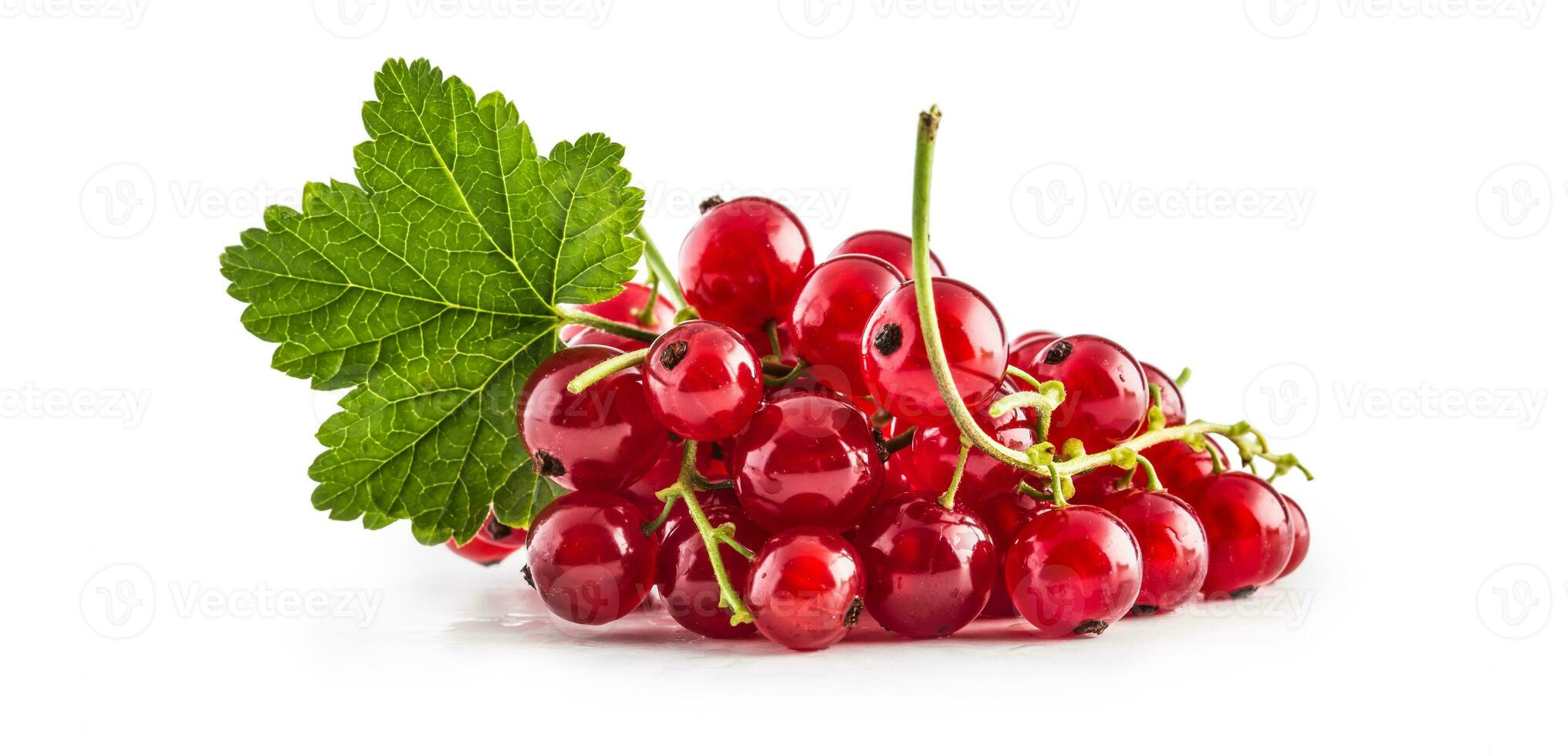 Red currants and green leave isolated on white photo