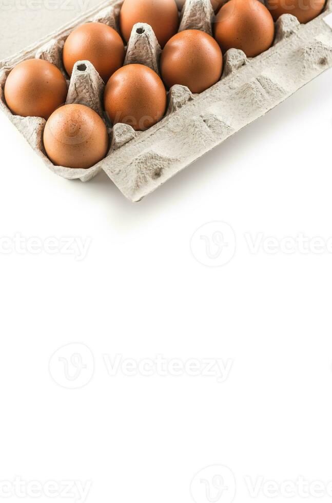 Fresh chicken eggs in pater tray isolated on white background photo