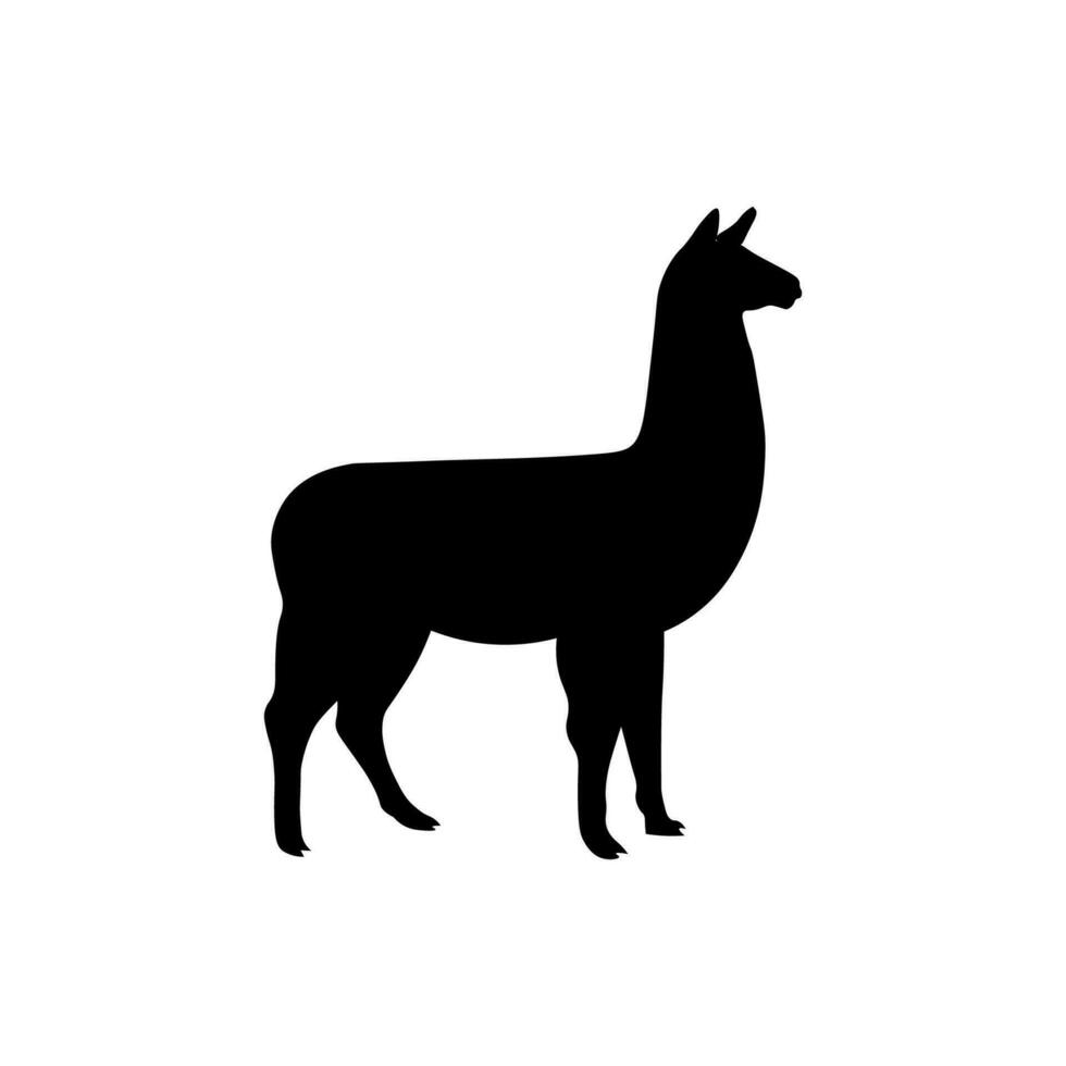 black llama vector illustration