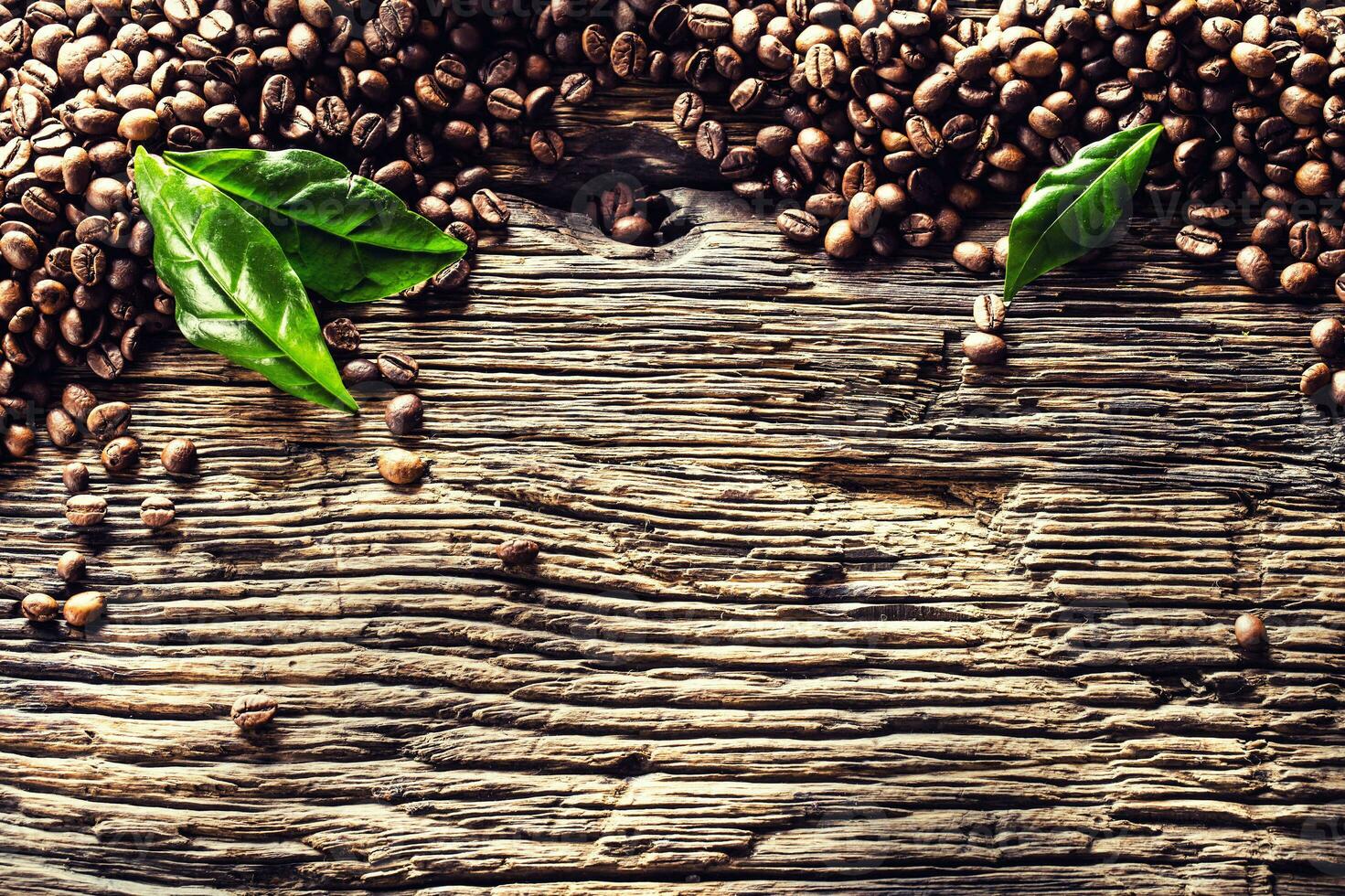 Top of view coffee beans and green leaves on rustic oak table photo