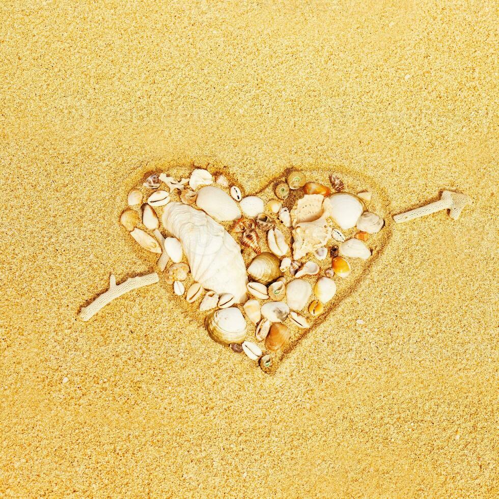 heart shape made of shells and sand on the beach photo