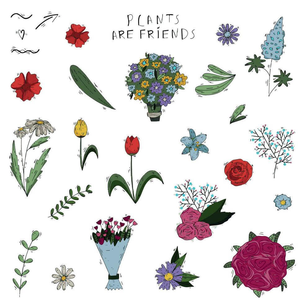 Big set of hand drawn doodle style flowers in all colors and types vector