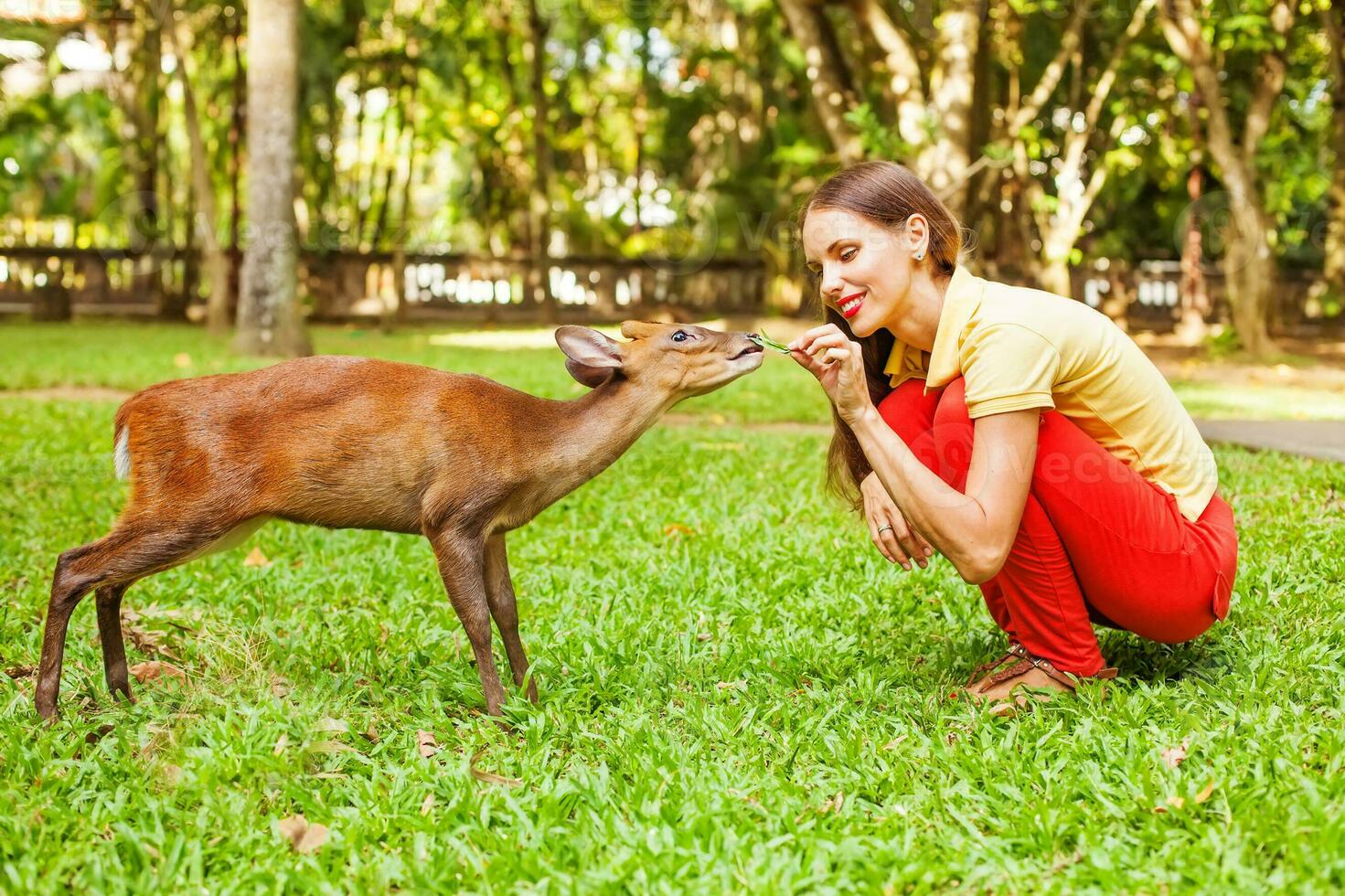 a woman kneeling down to feed a deer photo