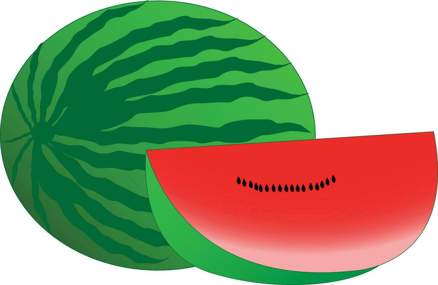 watermelon vector design art in illustrator .