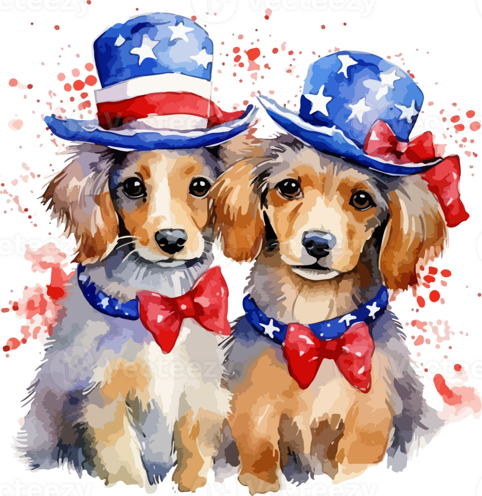 USA Flag Dog Cupple Watercolor, watercolor Dog Cupple, 4th July Dog png