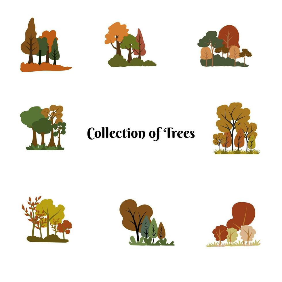 Types of trees Illustration vector