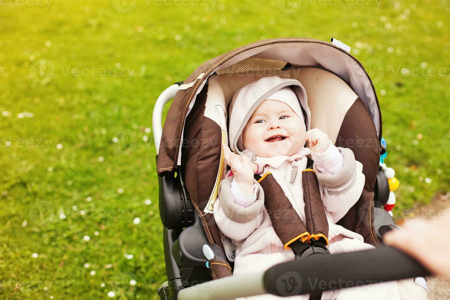 a baby in a stroller on a grassy field photo