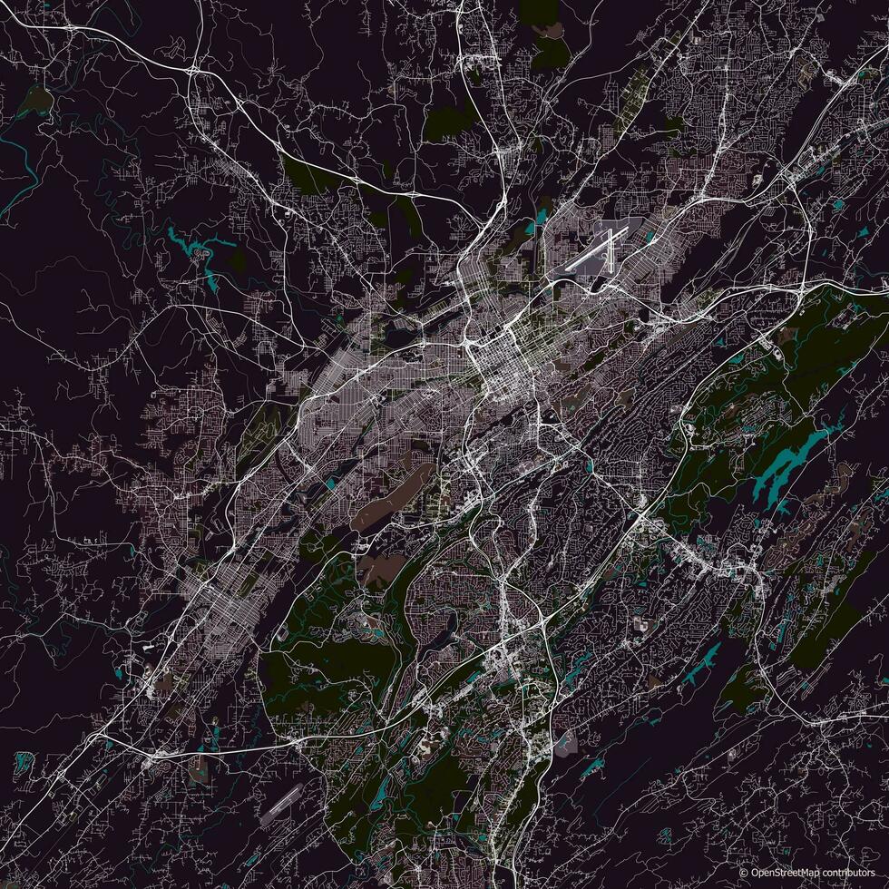 Vector city map of Birmingham Alabama USA
