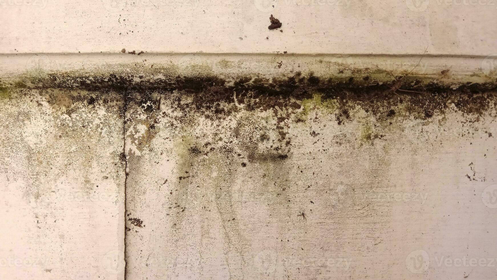 wall and cement texture with aging impression photo