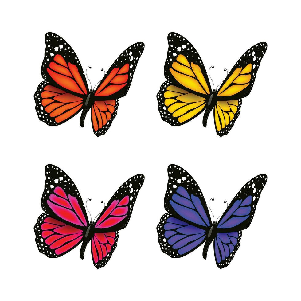 Vector colorful butterfly realistic isolated on white background