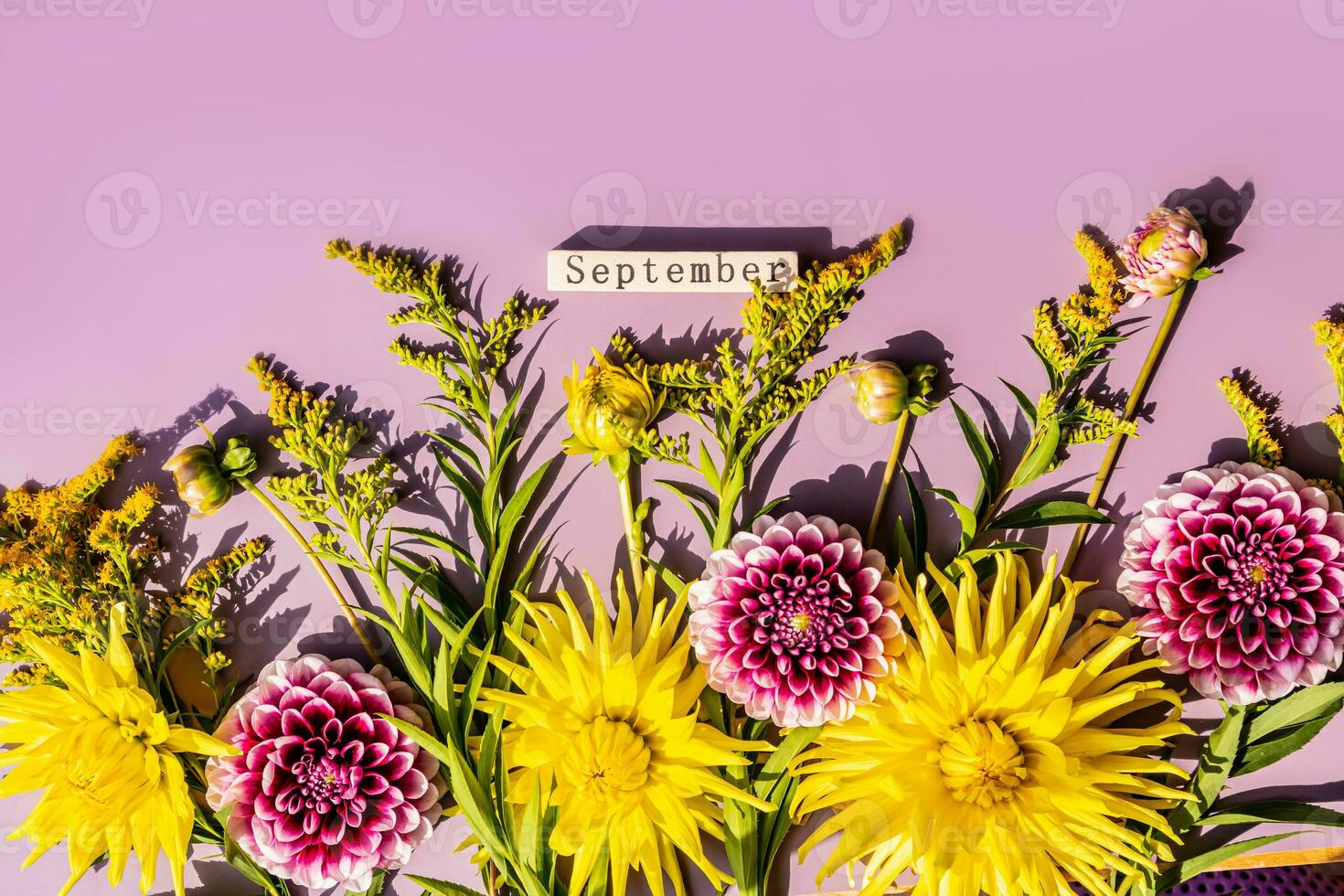 Beautiful bright autumn background with yellow and purple dahlia flowers and text from the wooden calendar September. festive background. photo