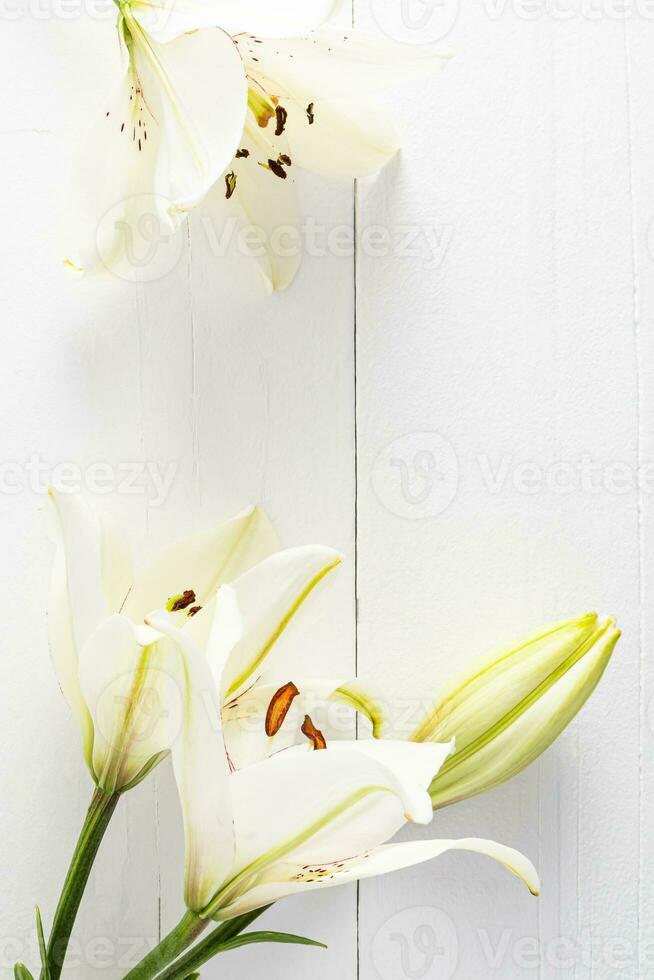 Beautiful white lilies on a white wooden background made of boards. frame. space for text. Vertical flat view. layout for design. postcard. photo