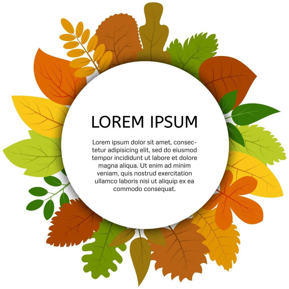 Colorful autumn leaves under white round label. Vector card with yellow leaves isolated on white background