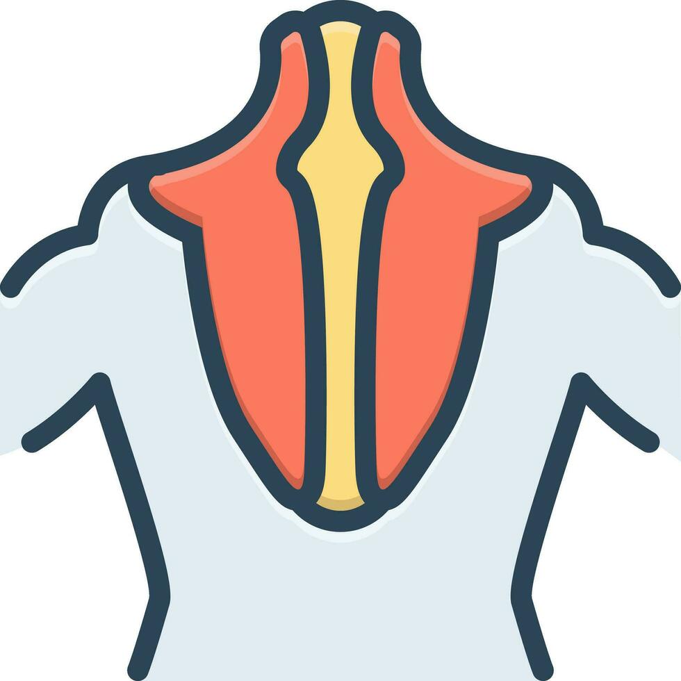 color icon for trapezius vector