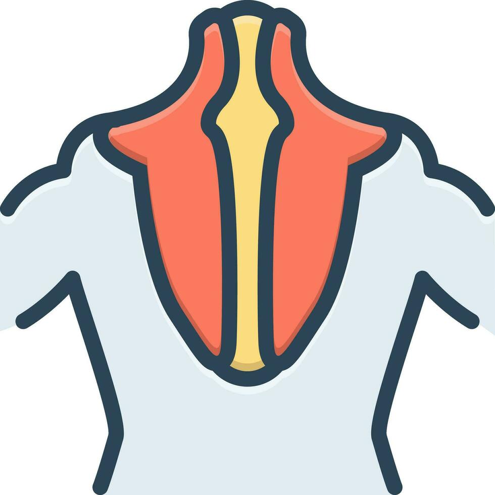 color icon for trapezius vector