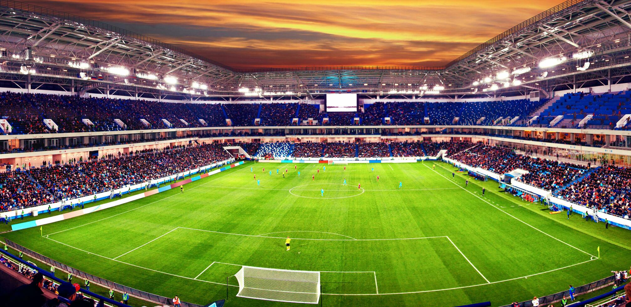 Soccer stadium arena with natural green grass photo