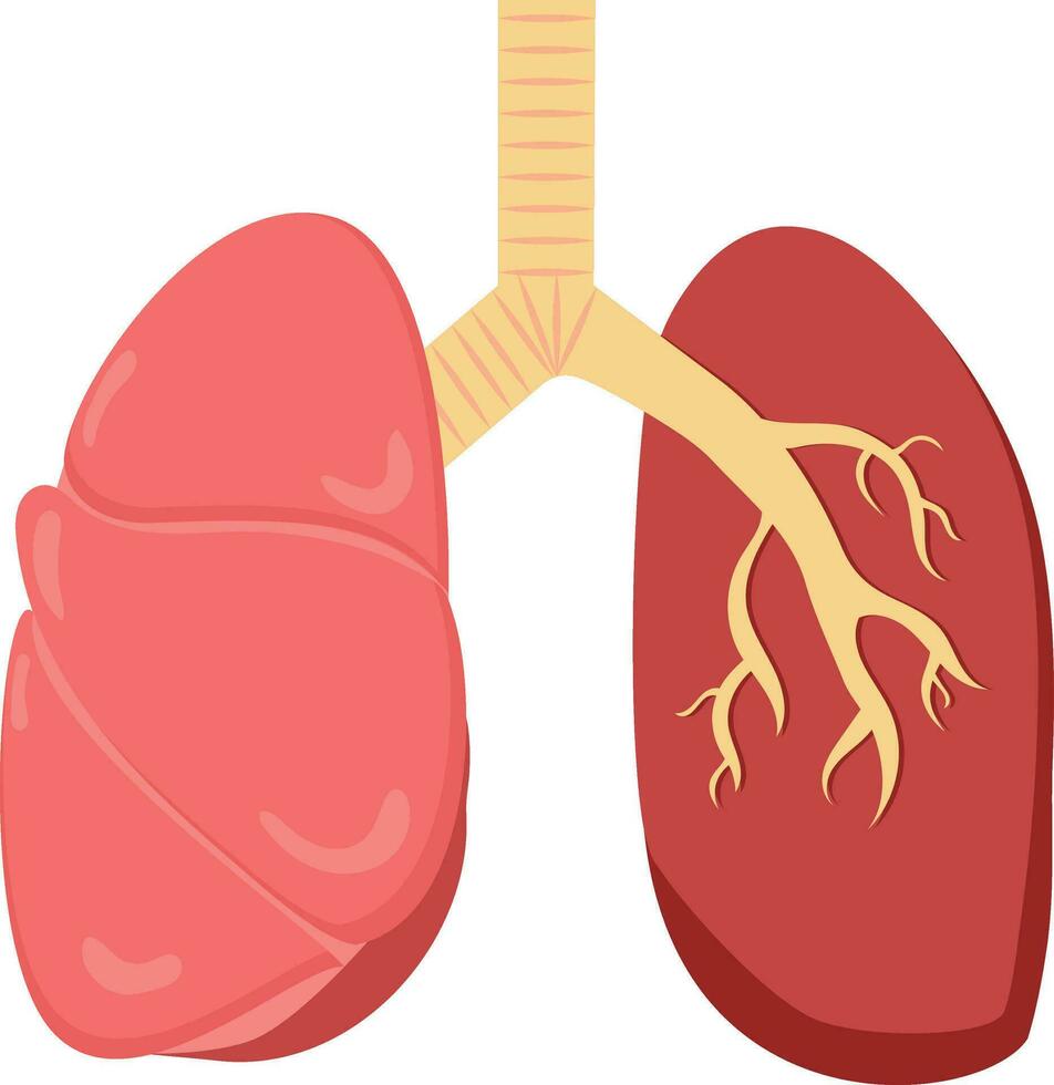 Red And Pastel Yellow Lungs Icon In Flat Style. vector