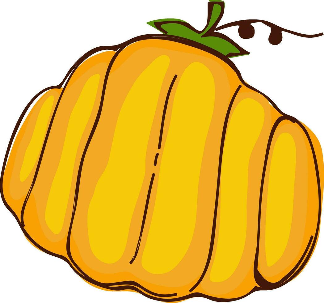 Illustration of a pumpkin. vector