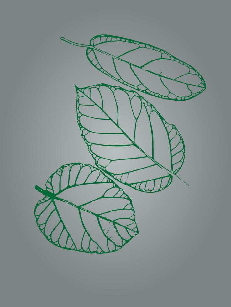 Leaf and Leaves Vector Illustration for Cut out pattern