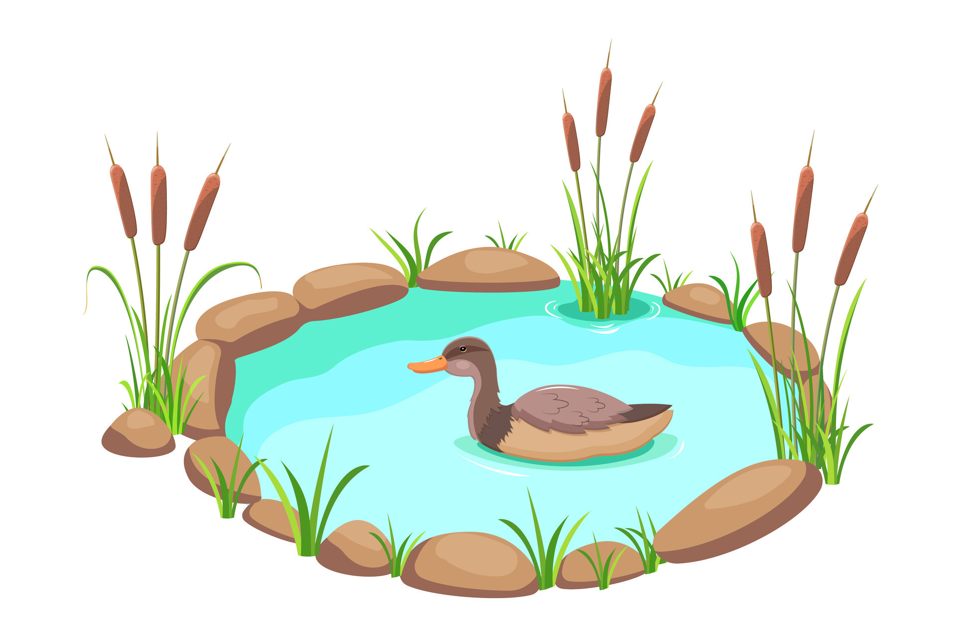 Pond with reeds and duck. Lake in cartoon style. Pond with grass and