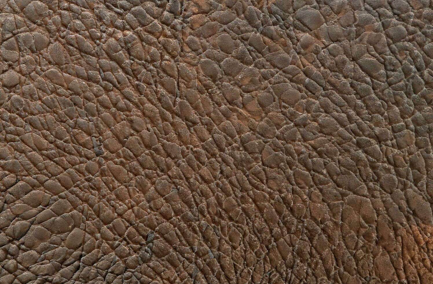 Brown leather texture background photo