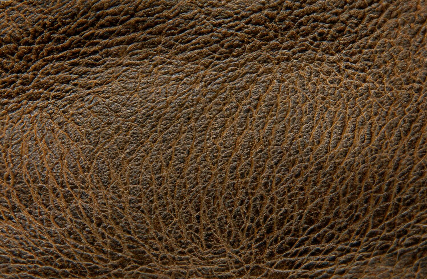 Brown leather texture background photo