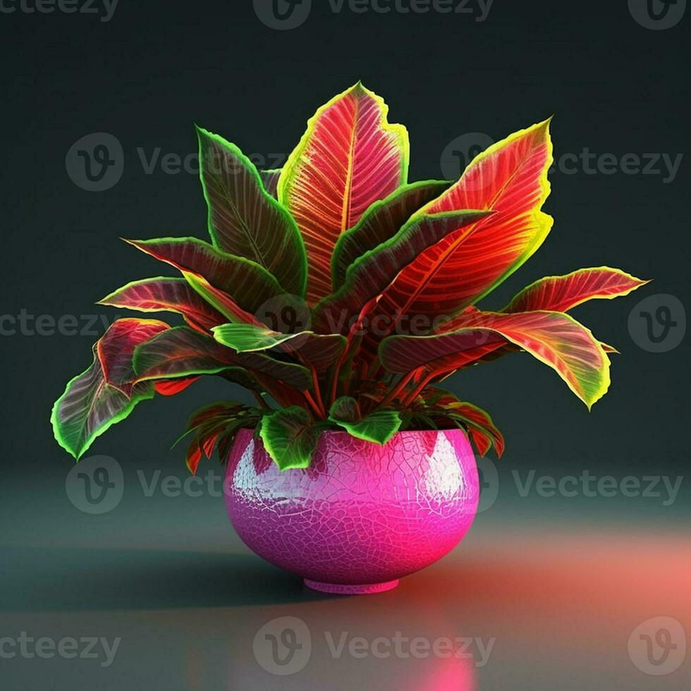 bright color ornamental plants in the pot photo