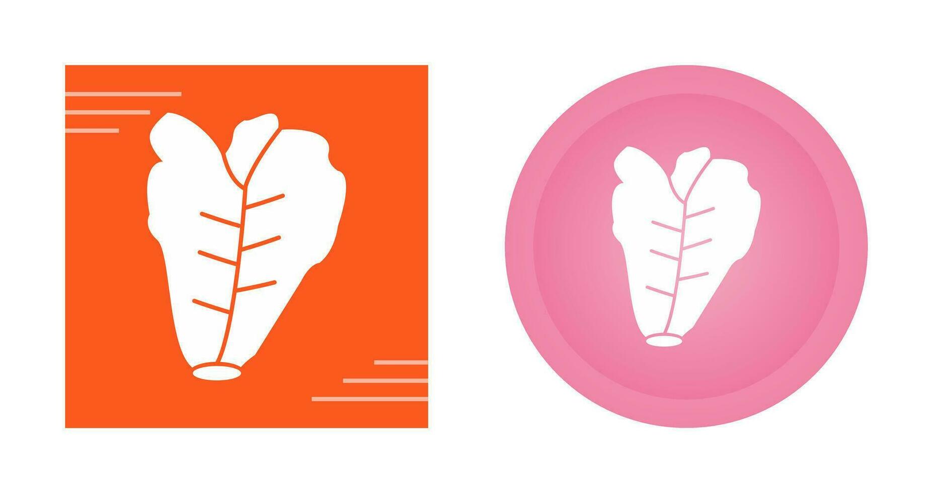 Lettuce Vector Icon