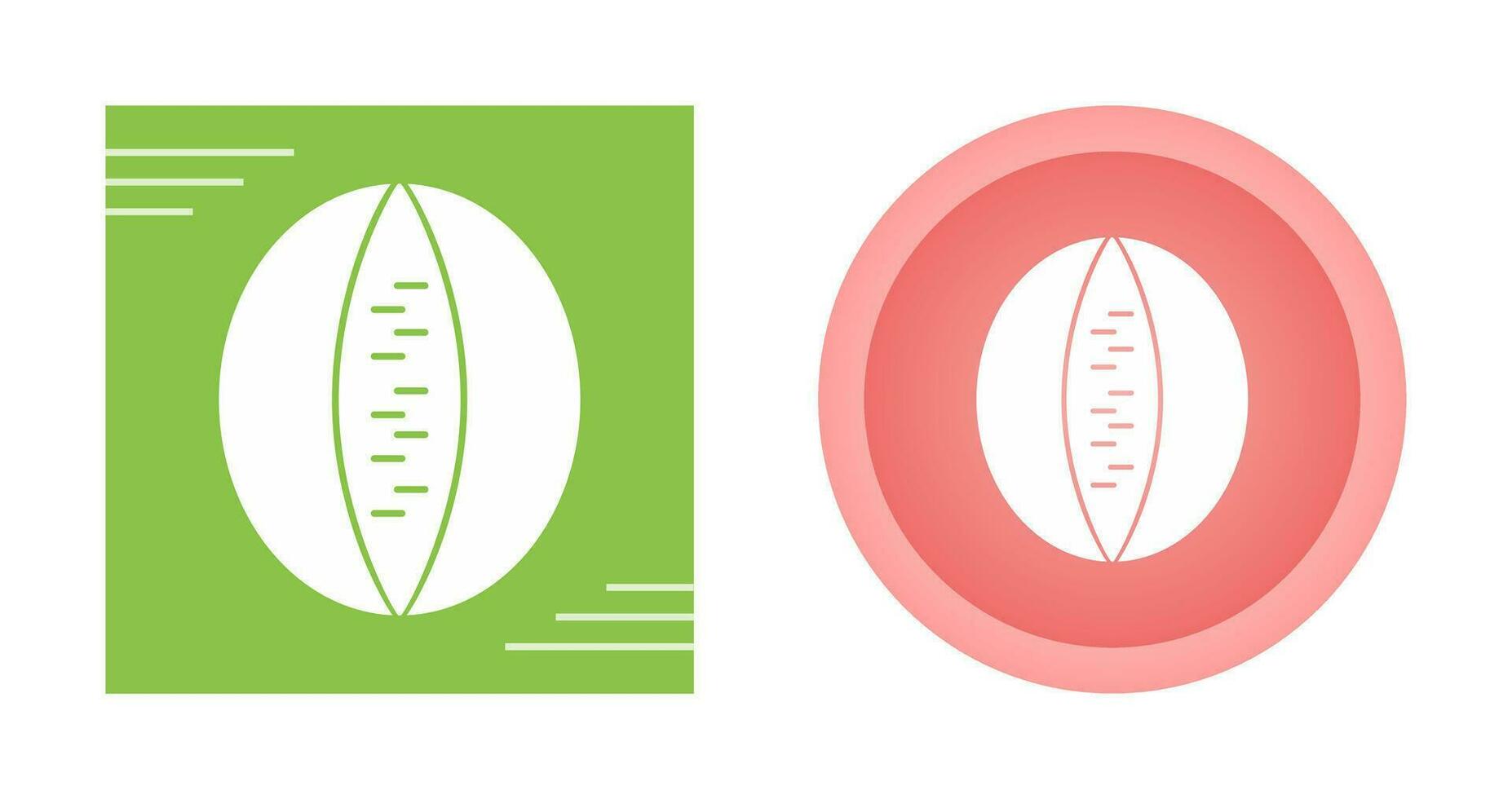 Rockmelon Vector Icon