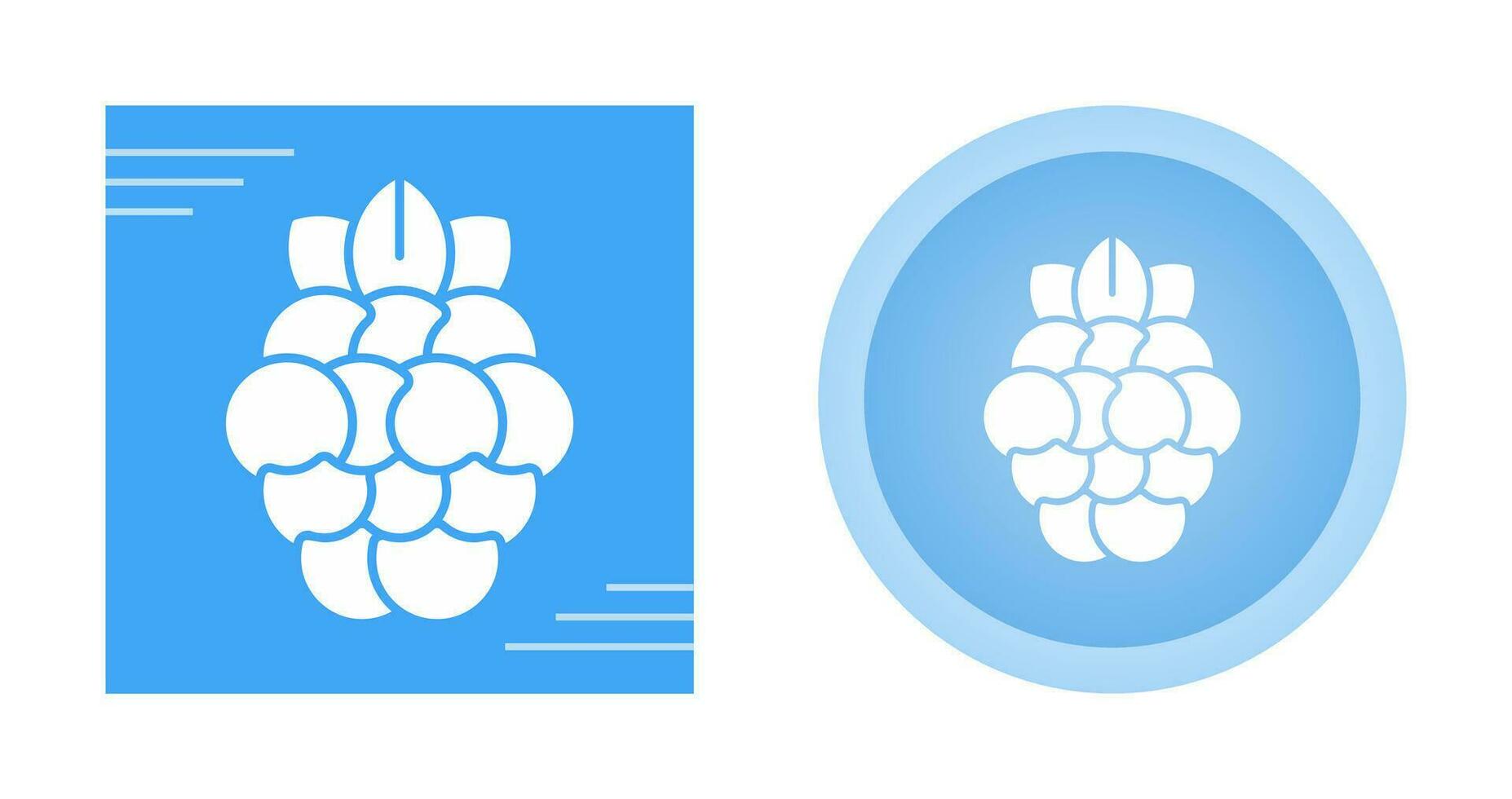 Raspberry Vector Icon