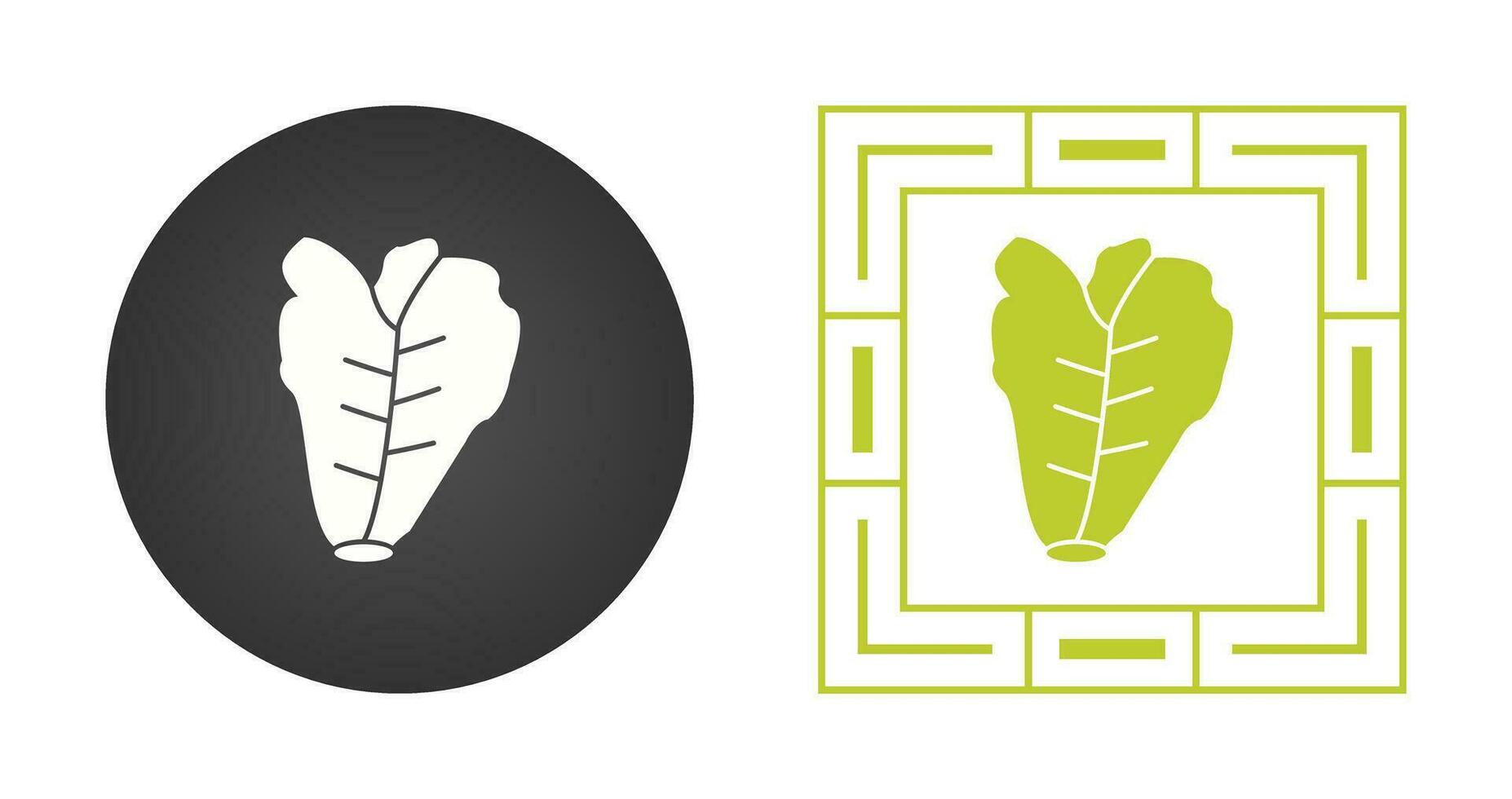 Lettuce Vector Icon